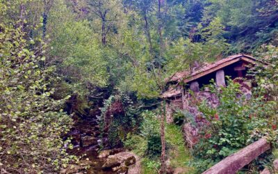 La Soledad como Refugio